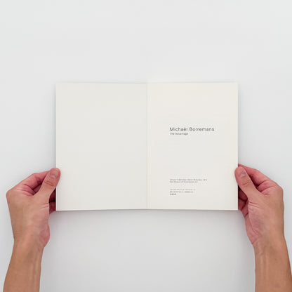 ミヒャエル・ボレマンス『The Advantage』。2014年原美術館で開催された個展の図録。絵画・映像作品と清水穣、Jeffrey Groveによる論考を収録。