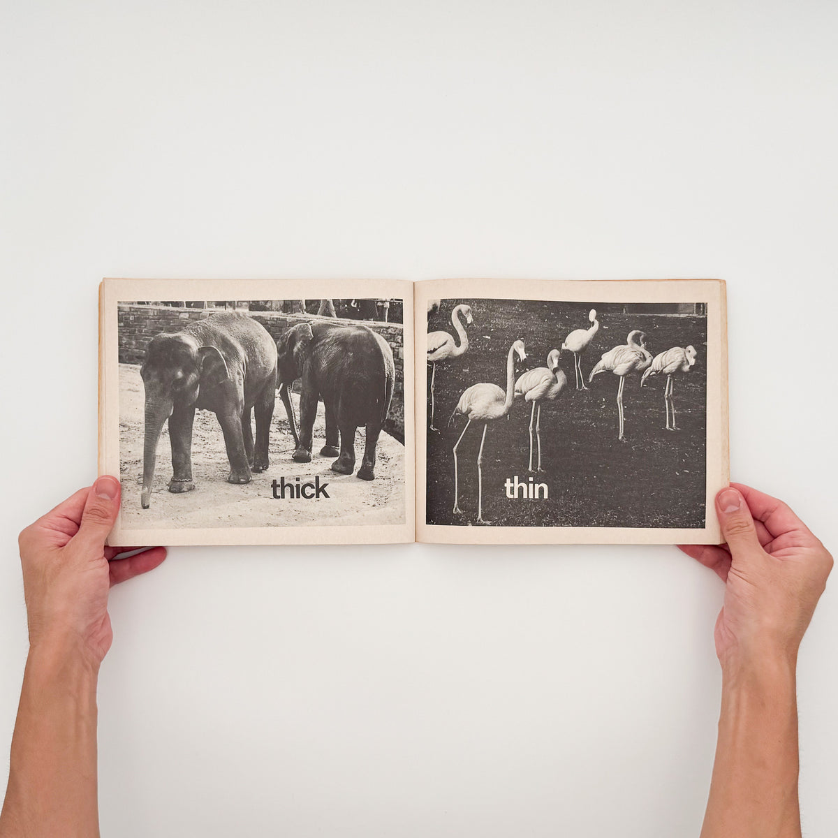 タナ・ホーバン『Push, Pull, Empty, Full: A Book of Opposites』。日常の人物や物を写したモノクロ写真で反対語を表現した、1976年Collier Books刊の写真絵本。