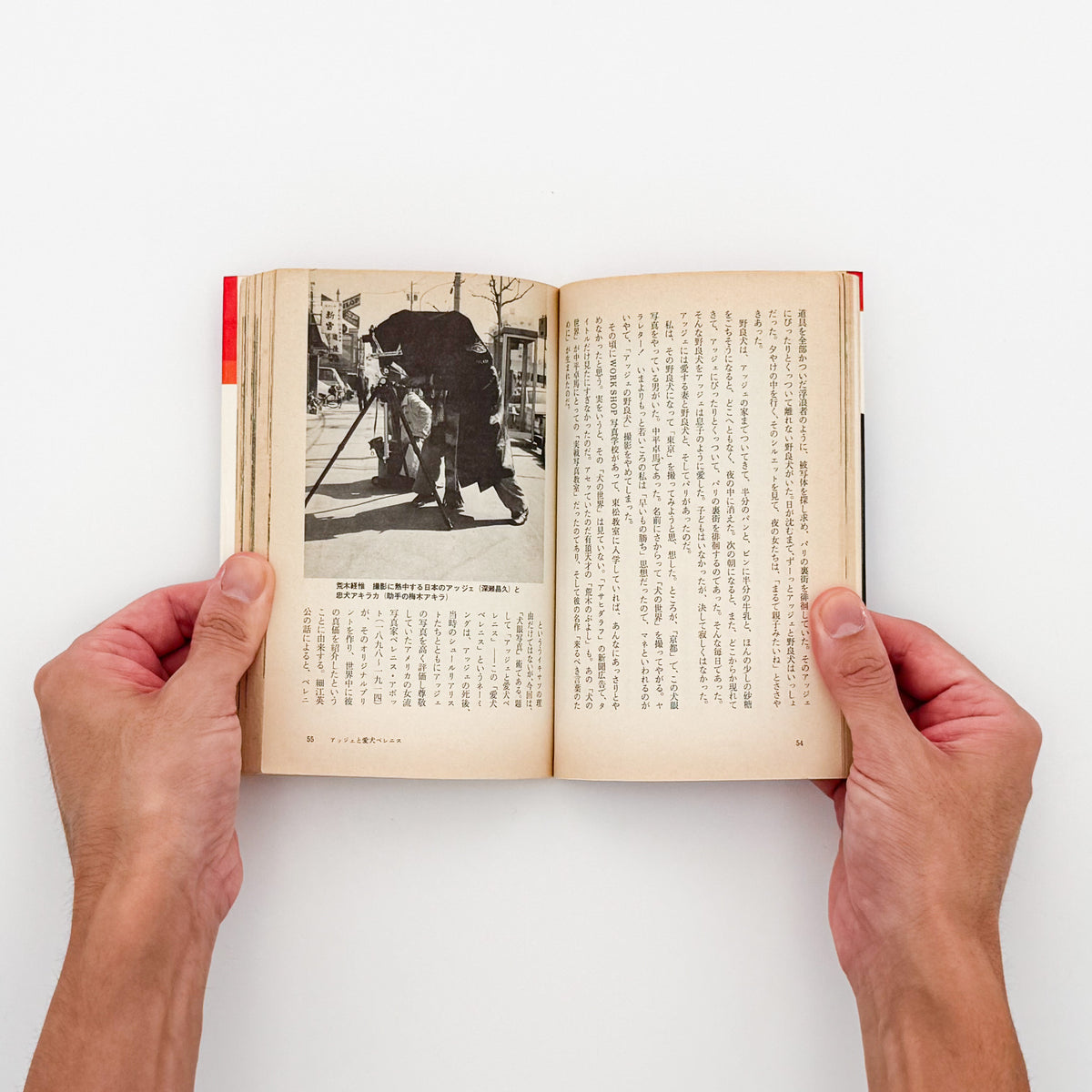 荒木経惟『写真への旅』。1976年朝日ソノラマ刊、現代カメラ新書の一冊。荒木の写真表現や写真観を文章と作品を通して紹介する写真論集。