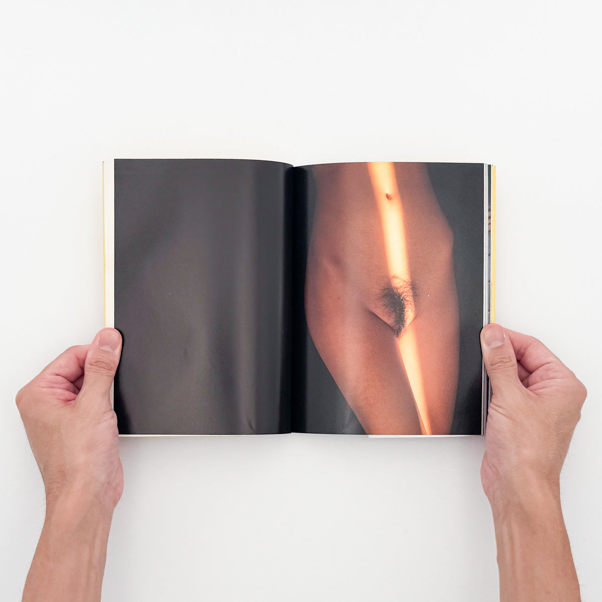 篠山紀信『hair［ヘア］』。1994年新潮社「PHOTO MUSEE」シリーズ刊。女性のアンダーヘアーを主題に、身体の一部をカラーで撮影した写真集。初版、帯付き。