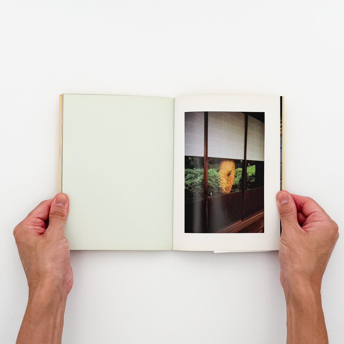 篠山紀信『hair［ヘア］』。1994年新潮社「PHOTO MUSEE」シリーズ刊。女性のアンダーヘアーを主題に、身体の一部をカラーで撮影した写真集。初版、帯付き。