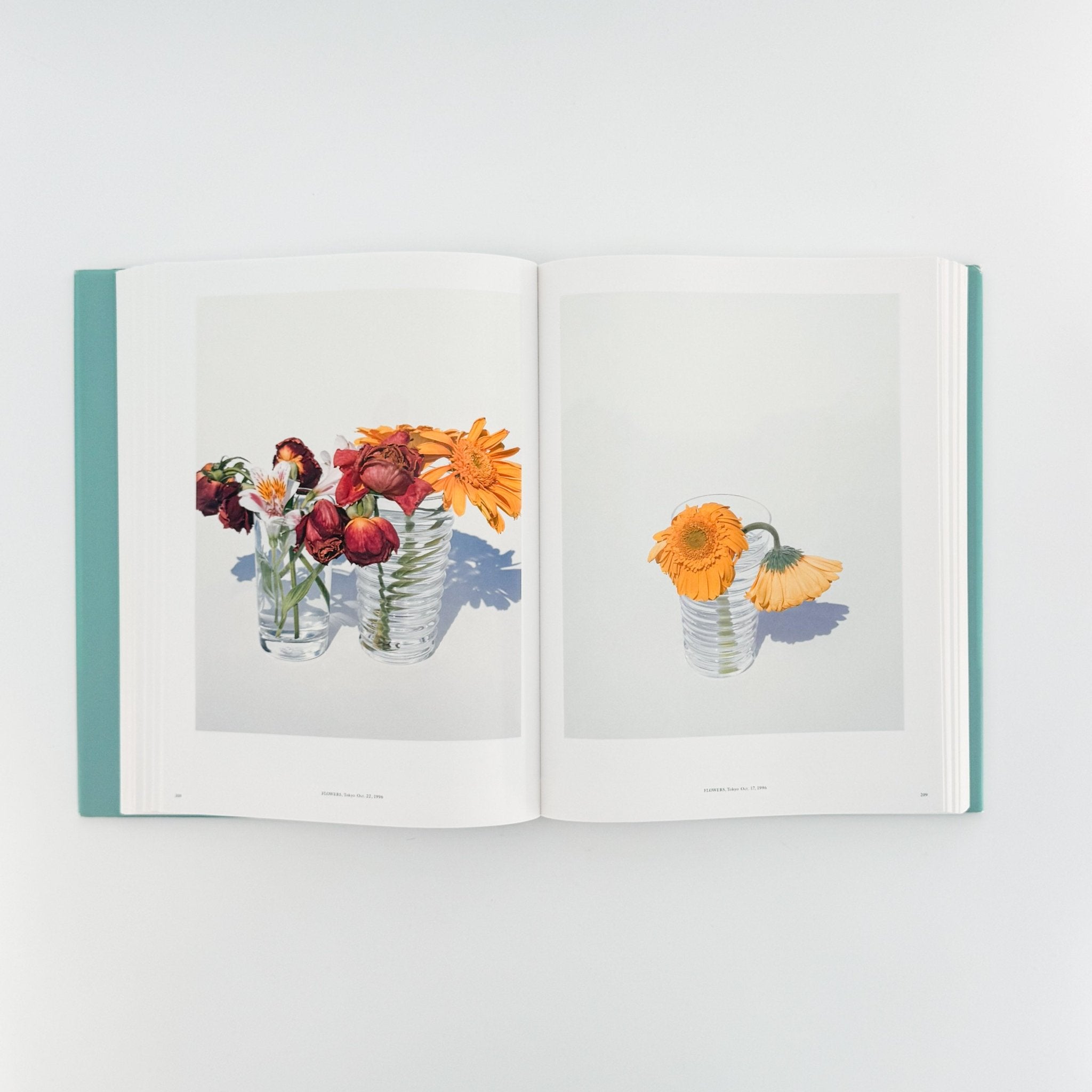 上田義彦写真集 A Life with Camera YOSHIHIKO UEDA（サイン入り
