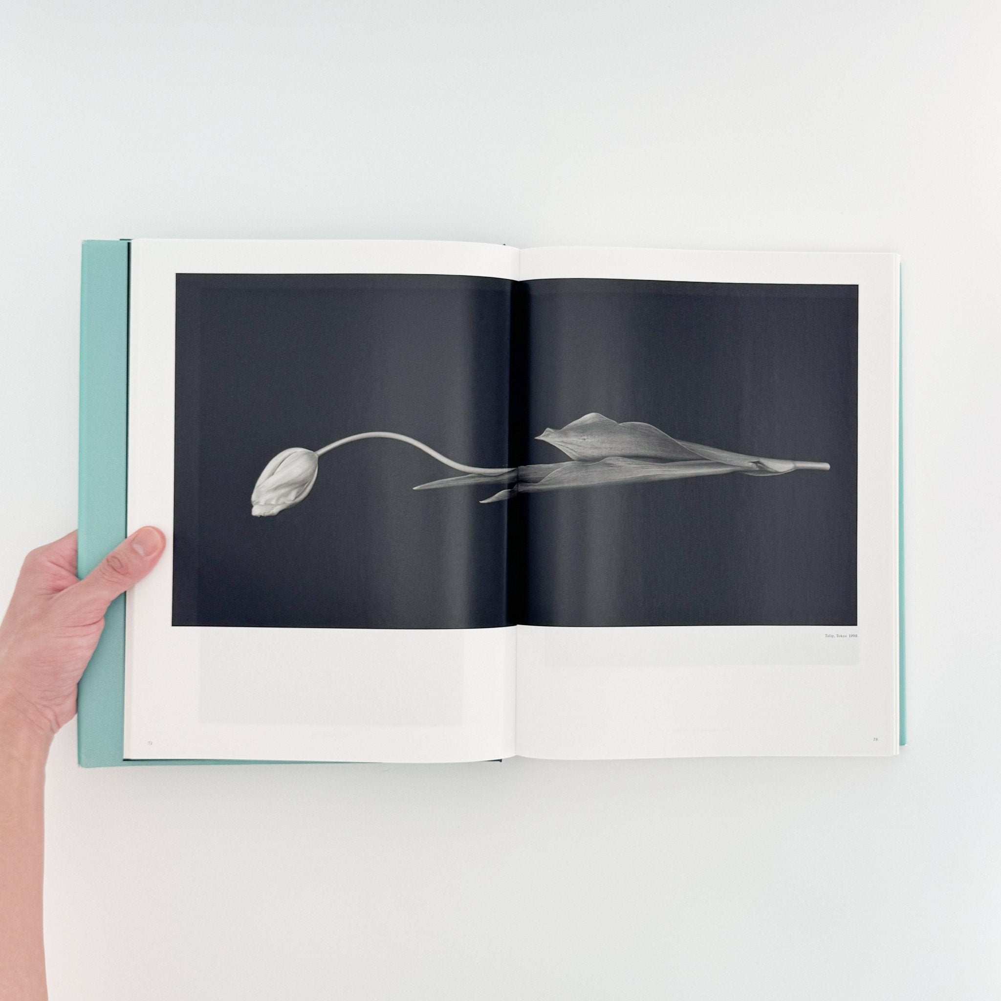 上田義彦写真集 A Life with Camera YOSHIHIKO UEDA（サイン入り