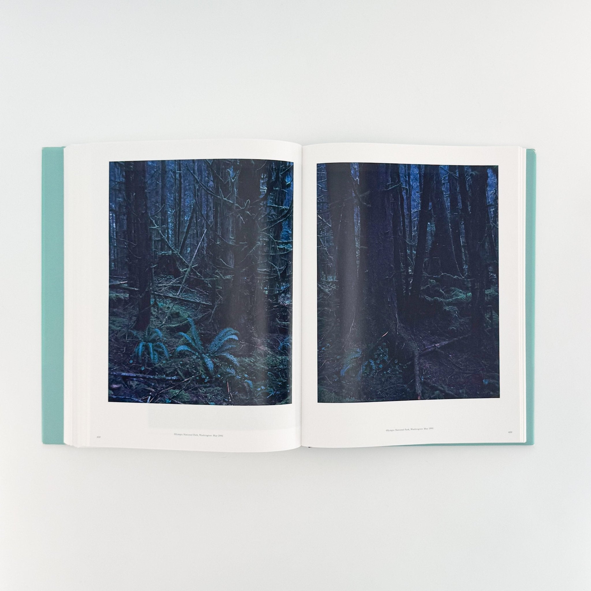 上田義彦写真集 A Life with Camera YOSHIHIKO UEDA（サイン入り