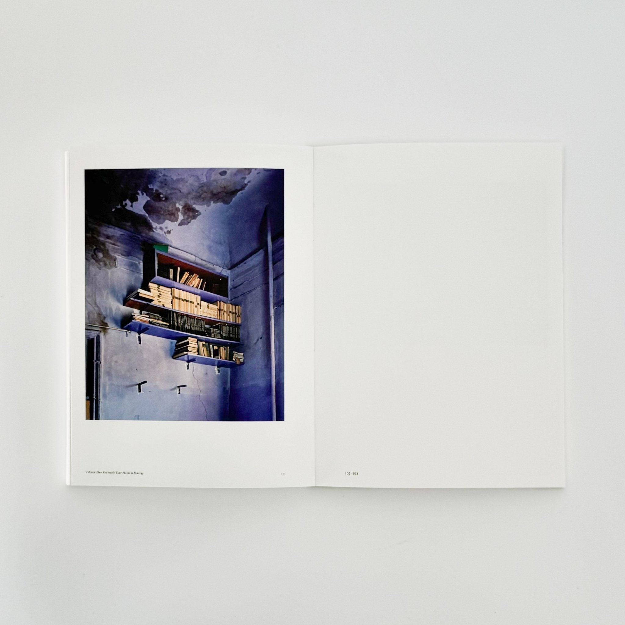 アレック・ソス 部屋のための部屋 A Room of Rooms / 東京都写真美術館