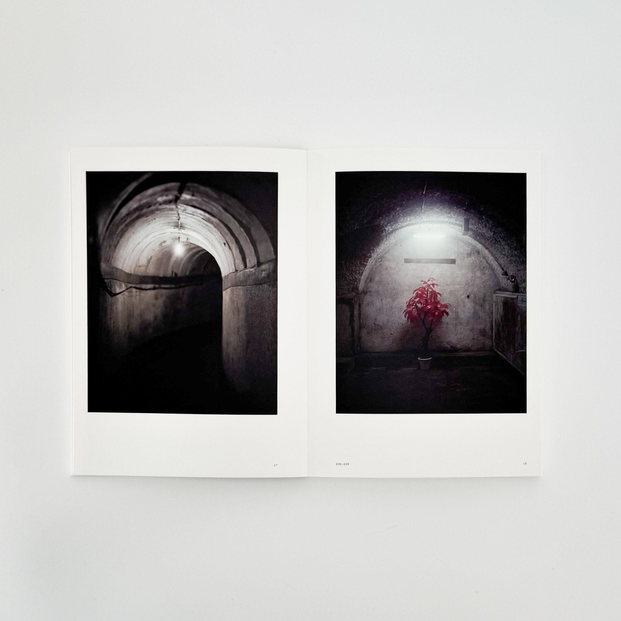 アレック・ソス 部屋のための部屋 A Room of Rooms / 東京都写真美術館