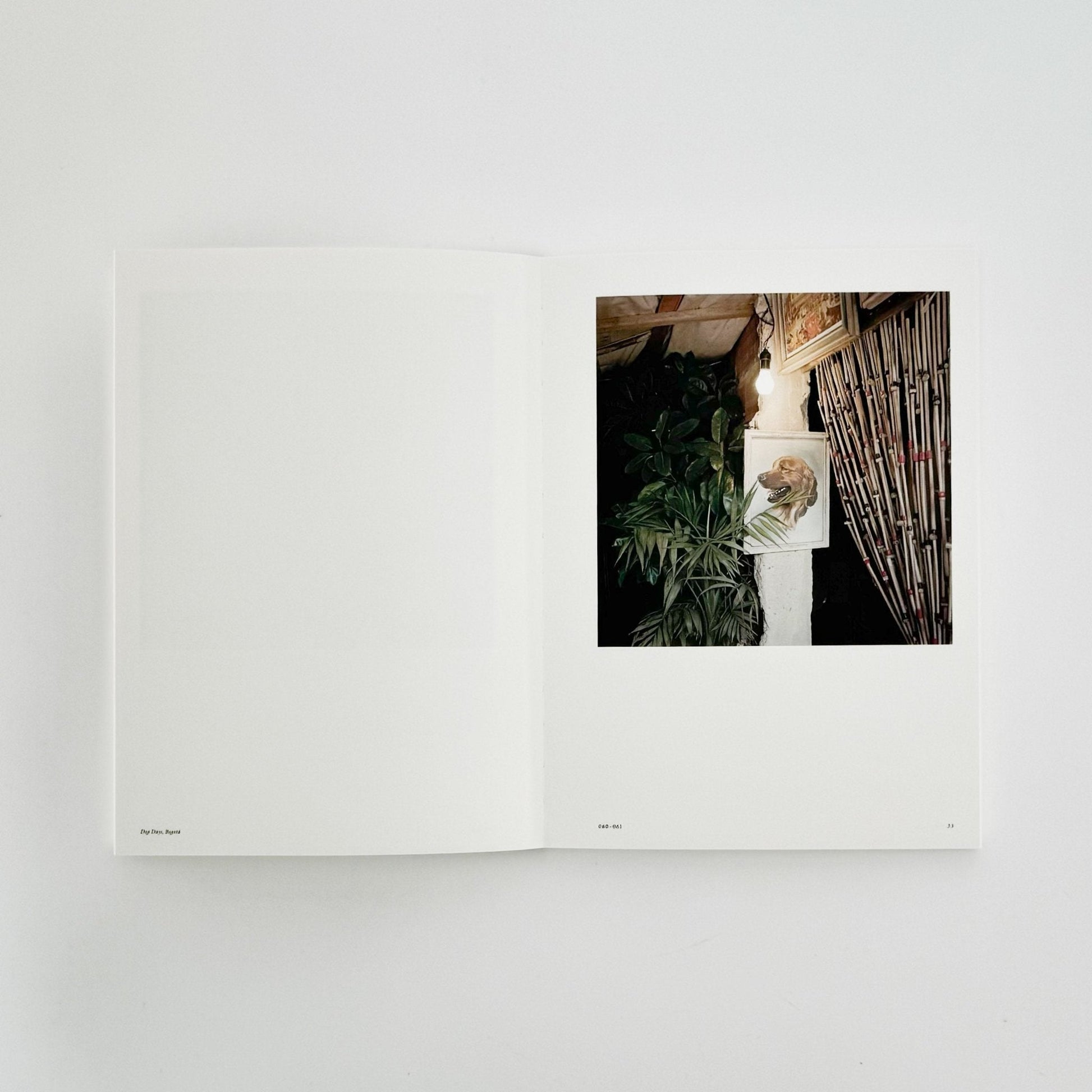 アレック・ソス　部屋のための部屋　A Room of Rooms - 東京都写真美術館 - 文福