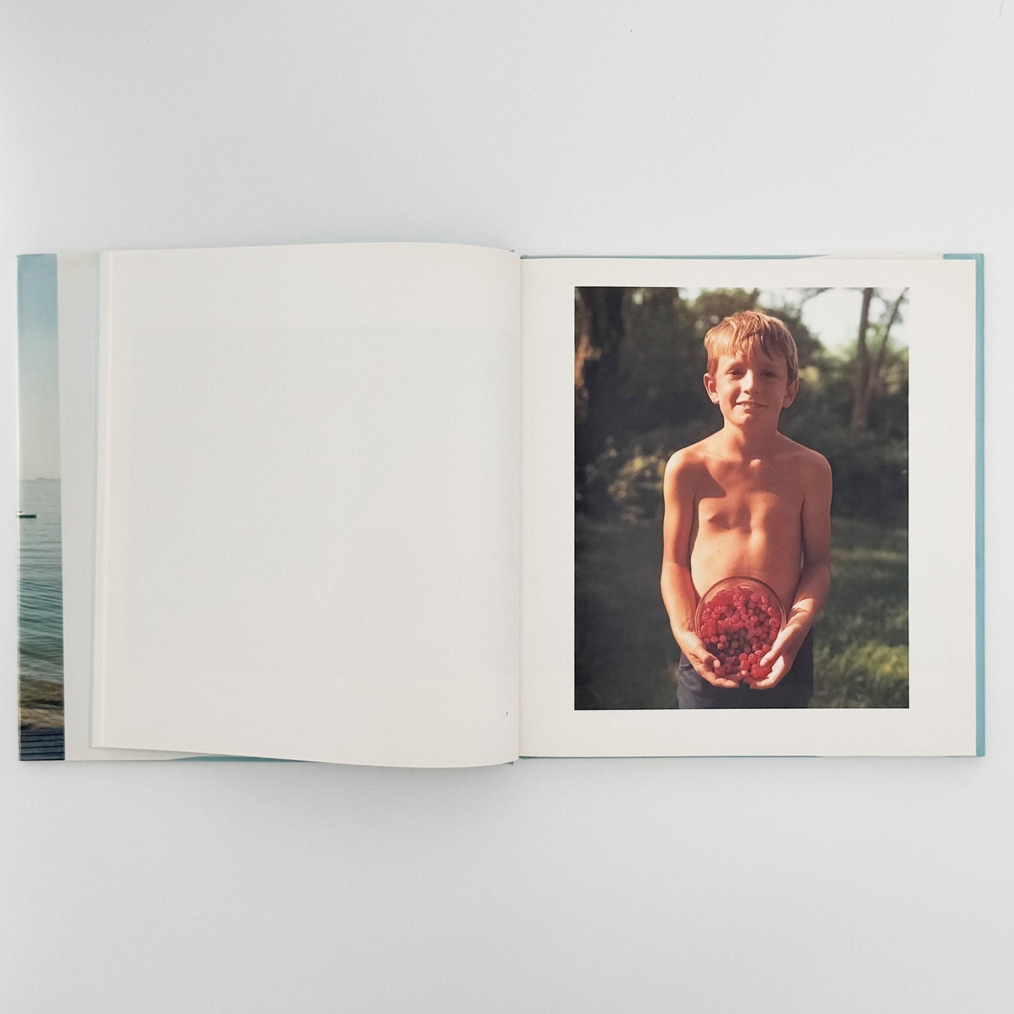 ジョエル・マイヤーウィッツ　A Summer’s Day（リブロポート版） - リブロポート - 文福