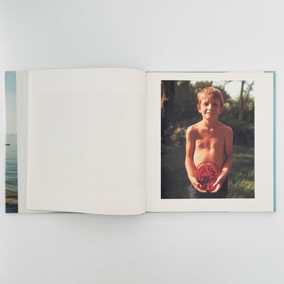 ジョエル・マイヤーウィッツ　A Summer’s Day（リブロポート版） - リブロポート - 文福