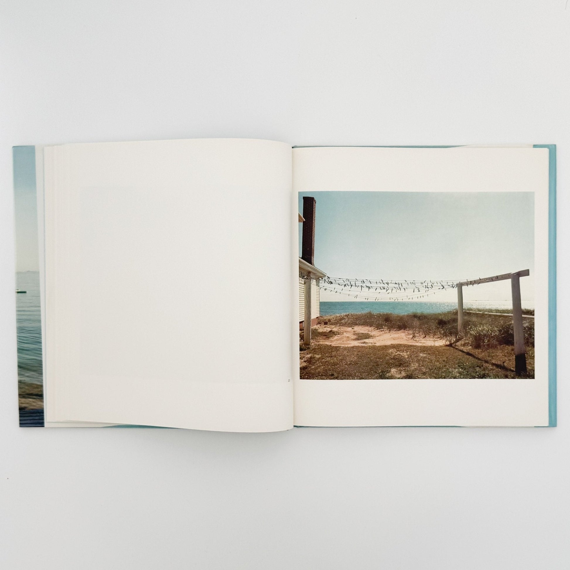 ジョエル・マイヤーウィッツ　A Summer’s Day（リブロポート版） - リブロポート - 文福