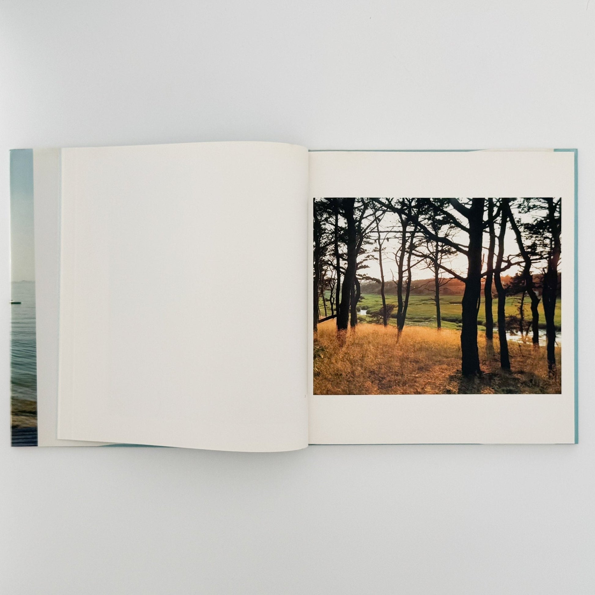 ジョエル・マイヤーウィッツ　A Summer’s Day（リブロポート版） - リブロポート - 文福