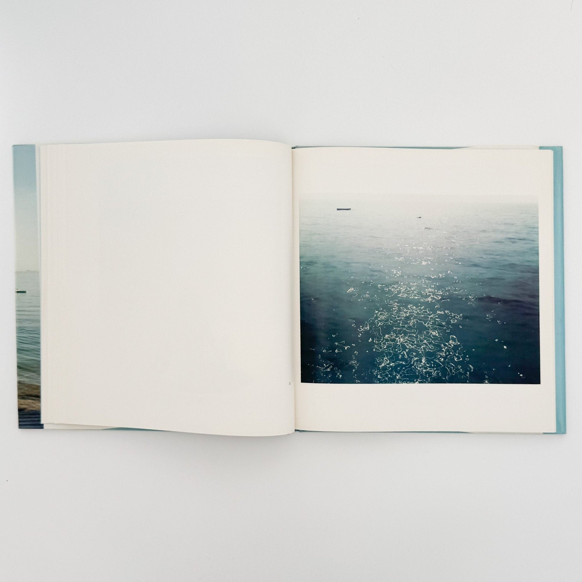 ジョエル・マイヤーウィッツ　A Summer’s Day（リブロポート版） - リブロポート - 文福