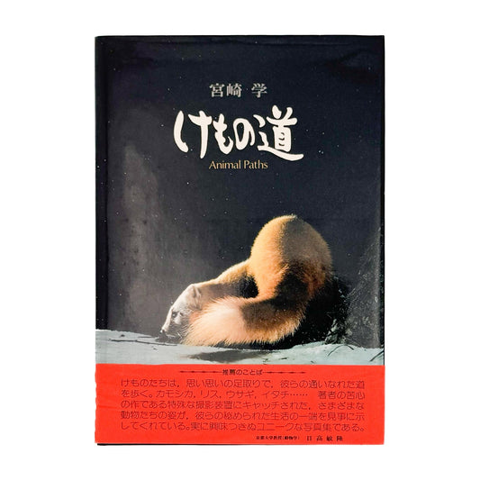 宮崎学　けもの道　Animal Paths - 宮崎学 / MIYAZAKI Manabu - 文福