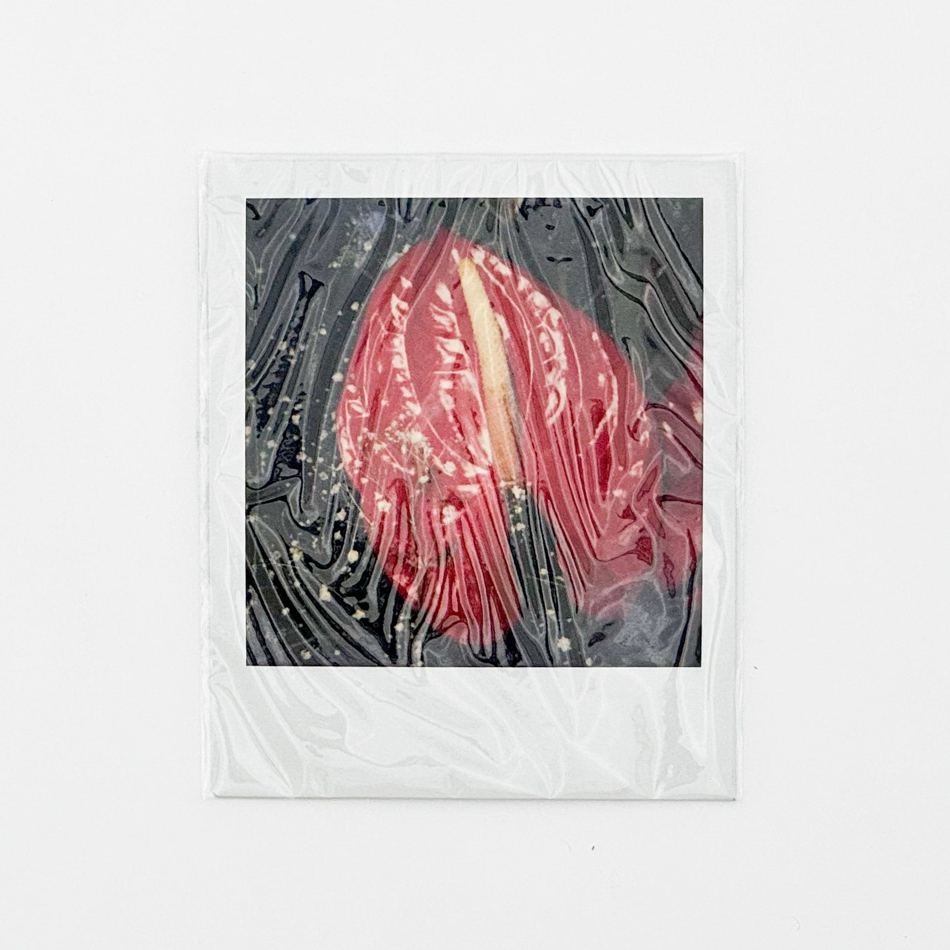 荒木経惟　月光写真　ポラロイド付き限定版 スイッチ・パブリッシング