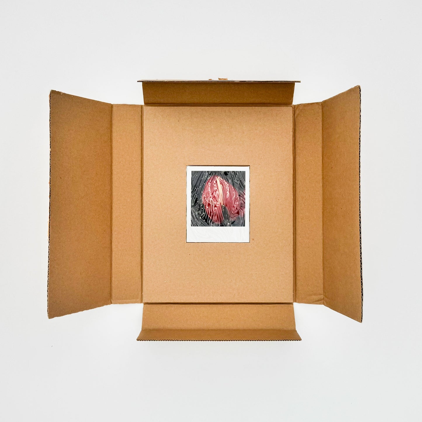 荒木経惟　月光写真　ポラロイド付き限定版 スイッチ・パブリッシング