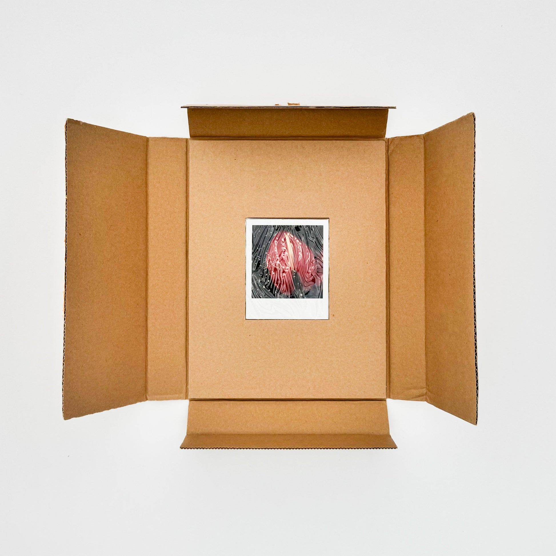 荒木経惟　月光写真　ポラロイド付き限定版 スイッチ・パブリッシング