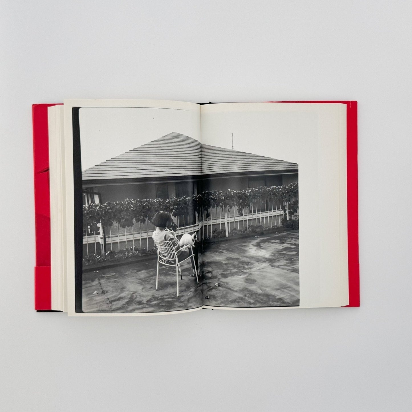 荒木経惟　写真私情主義 - 平凡社 - 文福