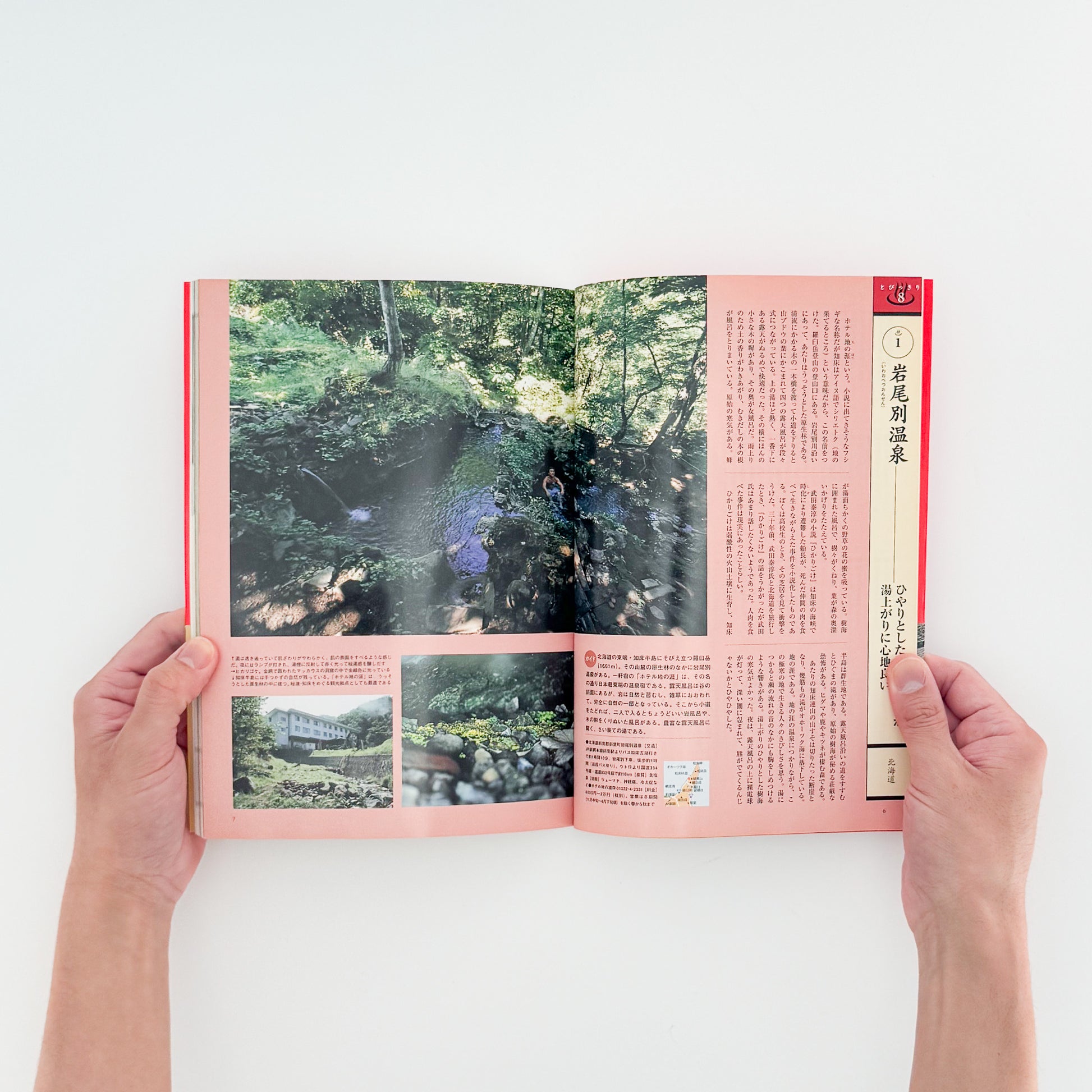 ARASHIYAMA Kozaburo / 嵐山光三郎『決定版（とっておき）快楽温泉201』北海道から薩南諸島まで、源泉や共同湯、伝統的な温泉宿を地域別に紹介した1999年講談社刊の温泉案内書。