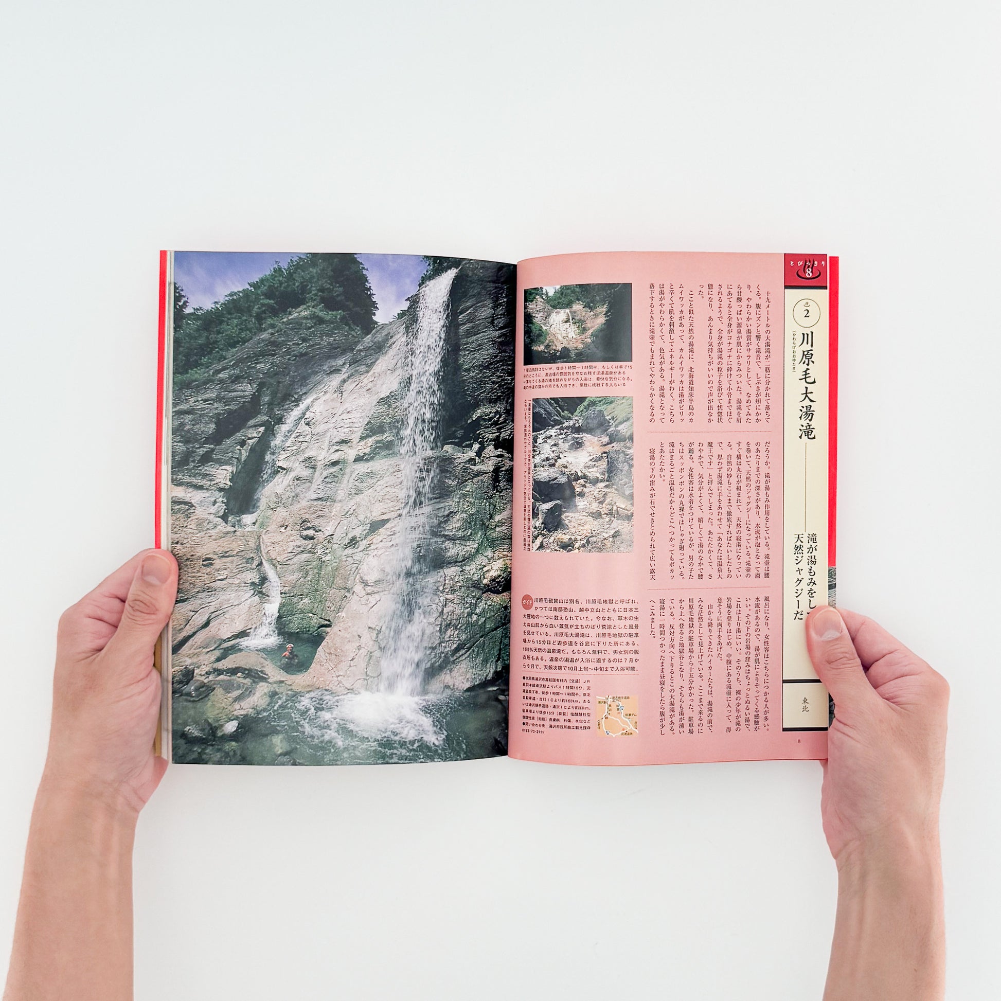 ARASHIYAMA Kozaburo / 嵐山光三郎『決定版（とっておき）快楽温泉201』北海道から薩南諸島まで、源泉や共同湯、伝統的な温泉宿を地域別に紹介した1999年講談社刊の温泉案内書。