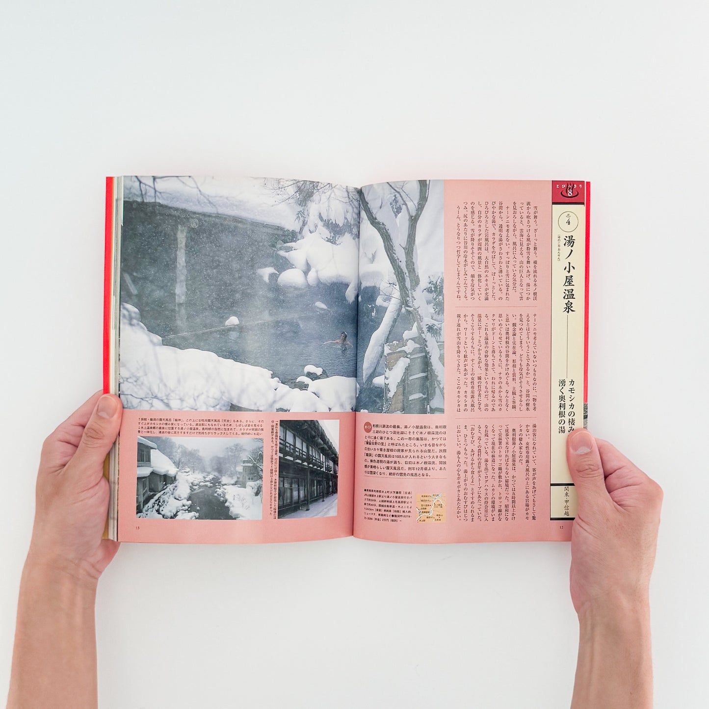 ARASHIYAMA Kozaburo / 嵐山光三郎『決定版（とっておき）快楽温泉201』北海道から薩南諸島まで、源泉や共同湯、伝統的な温泉宿を地域別に紹介した1999年講談社刊の温泉案内書。