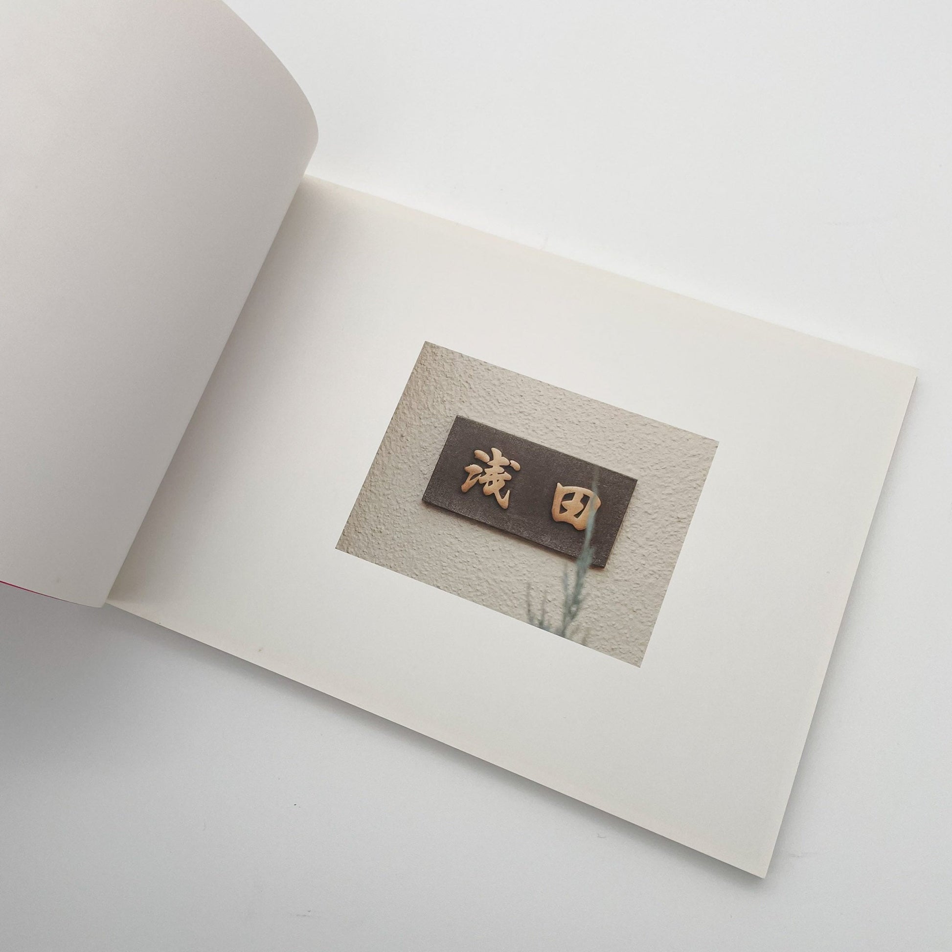 浅田政志　浅田家 - 文福