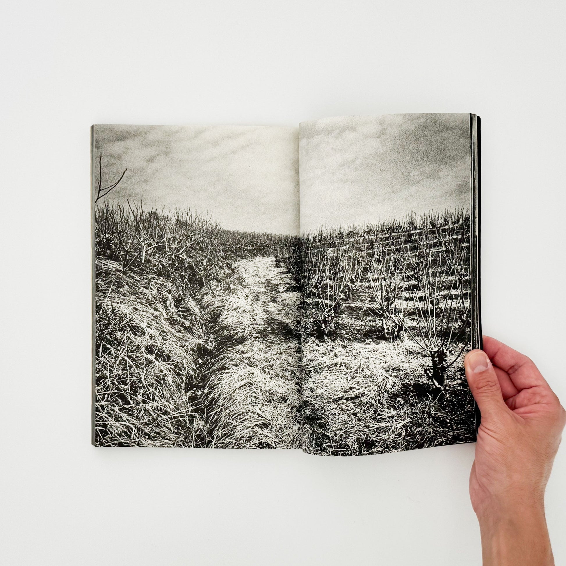 アサヒカメラ 1976年10月増刊　北井一夫「村へ」 - 写真雑誌