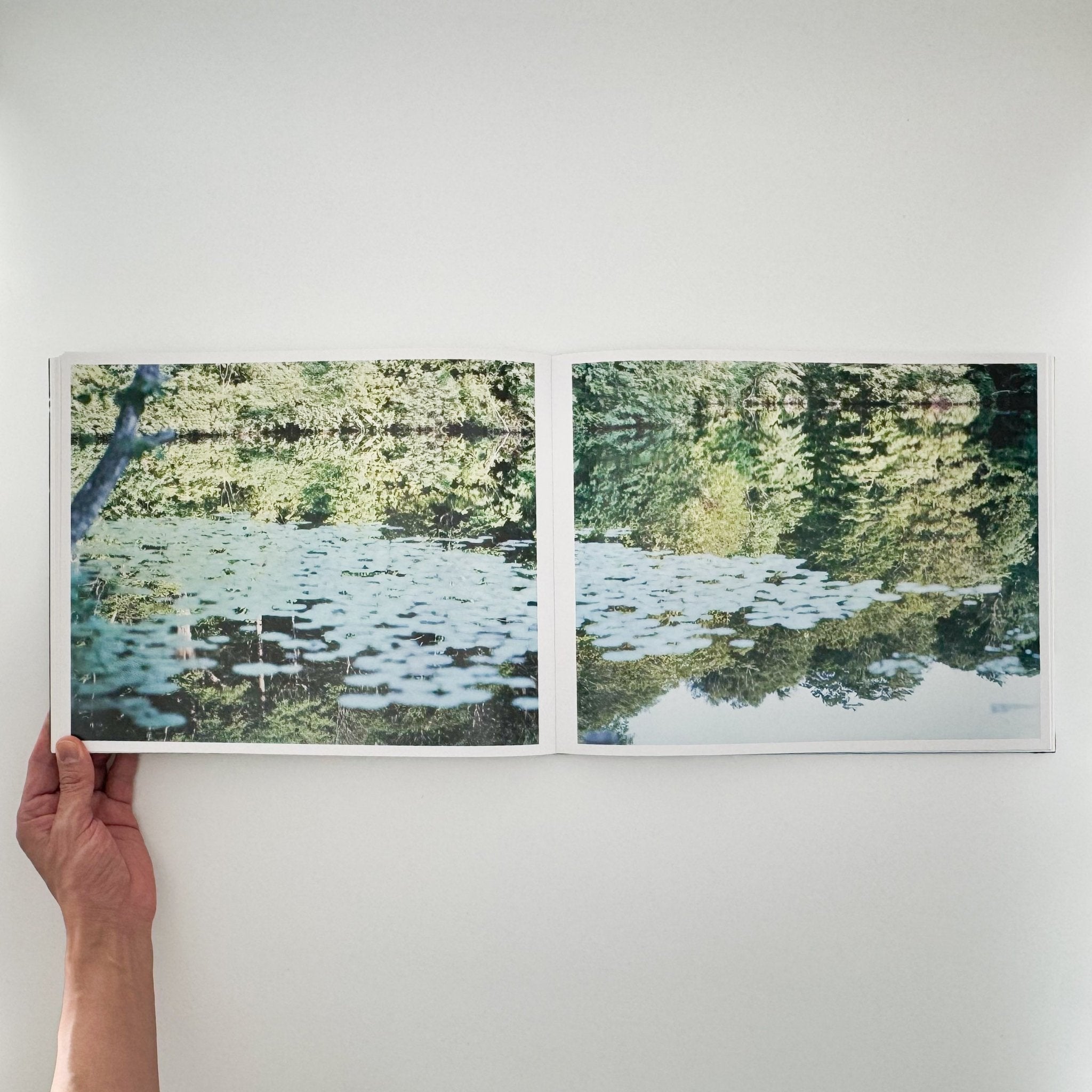 鈴木理策写真集 Water Mirror – 文福