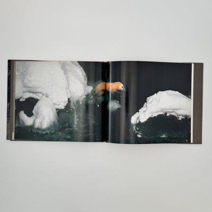 宮崎学　けもの道の四季 - 平凡社 - 文福