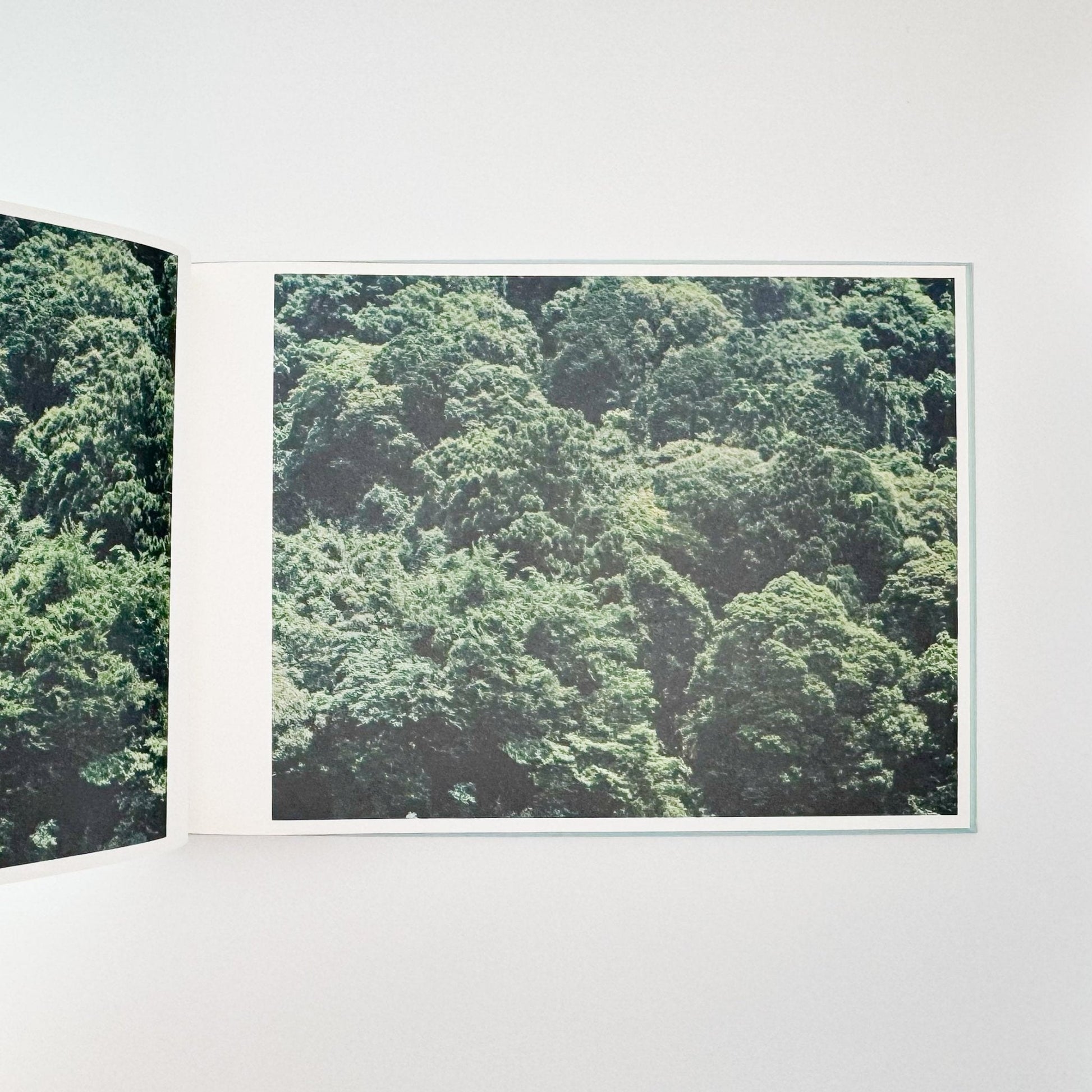 鈴木理策　海と山のあいだ Between the Sea and the Mountain – Kumano（サイン入り） - アマナサルト - 文福