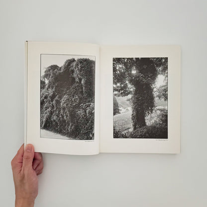 北井一夫　1970年代NIPPON（サイン入り） 冬青社