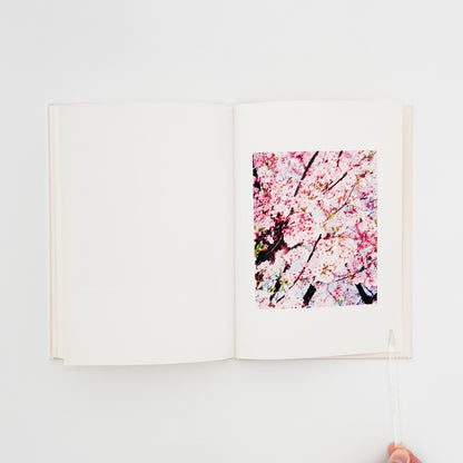 薄井一議　Showa 88(サイン入り） 禅フォトギャラリー