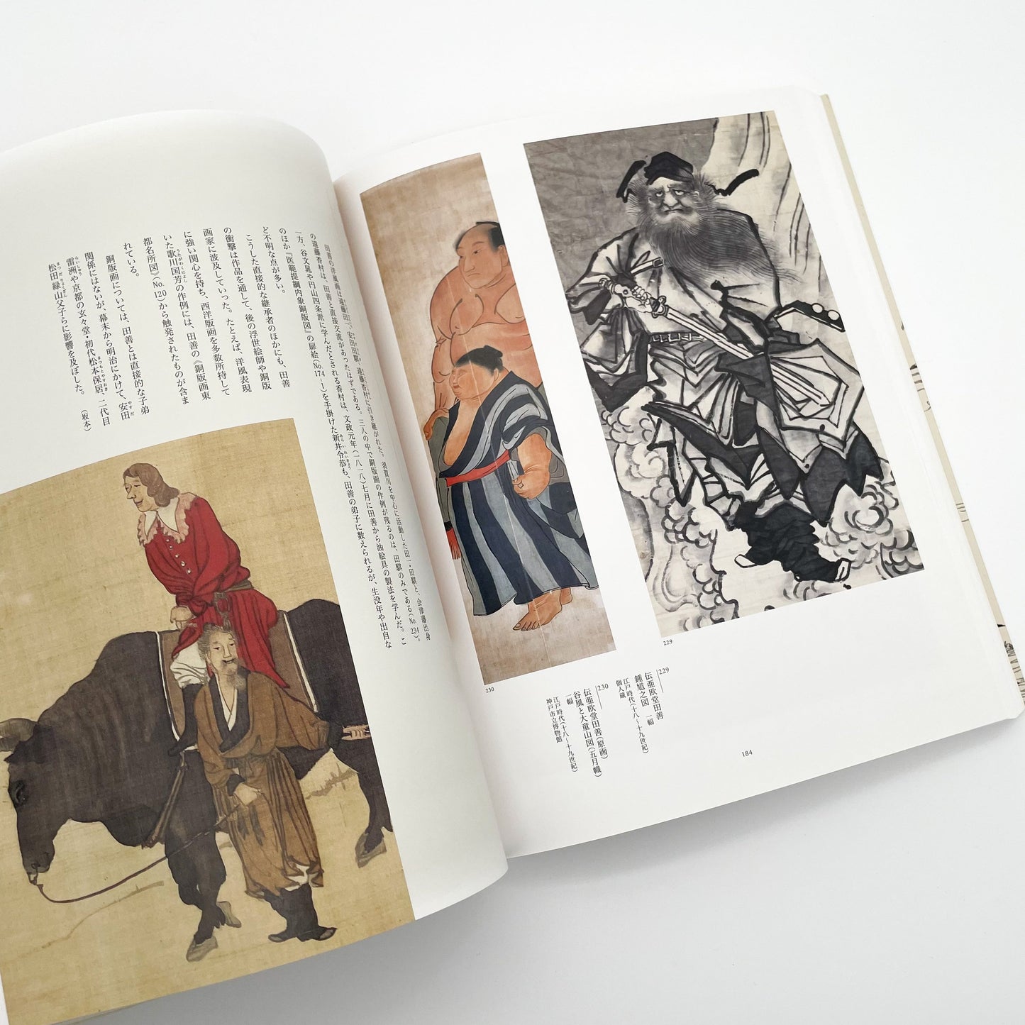 没後200年 亜欧堂田善 江戸の洋風画家・創造の軌跡 (展覧会図録)