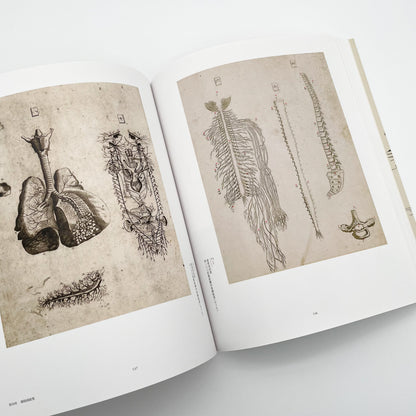 没後200年 亜欧堂田善 江戸の洋風画家・創造の軌跡 (展覧会図録)