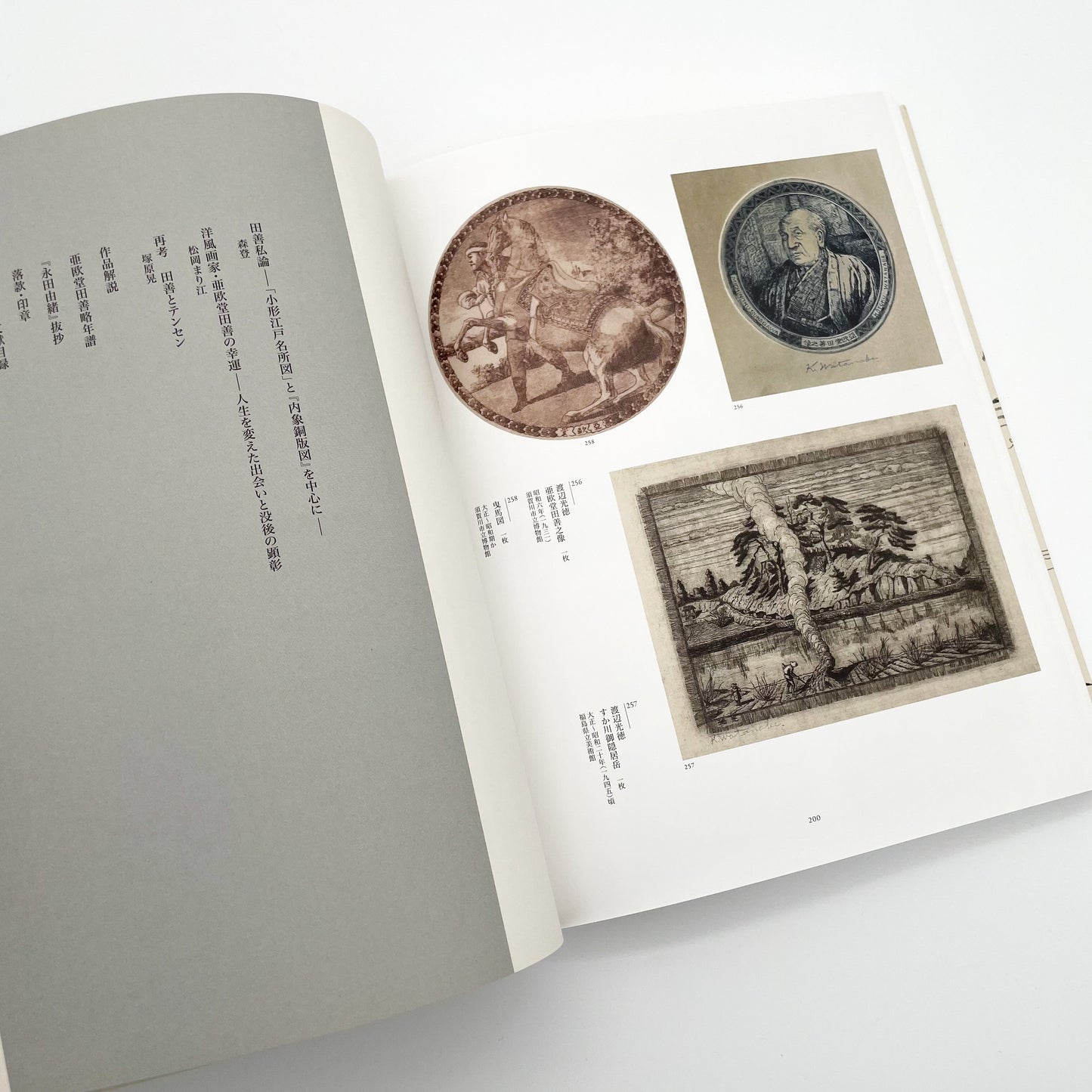 没後200年 亜欧堂田善 江戸の洋風画家・創造の軌跡 (展覧会図録)