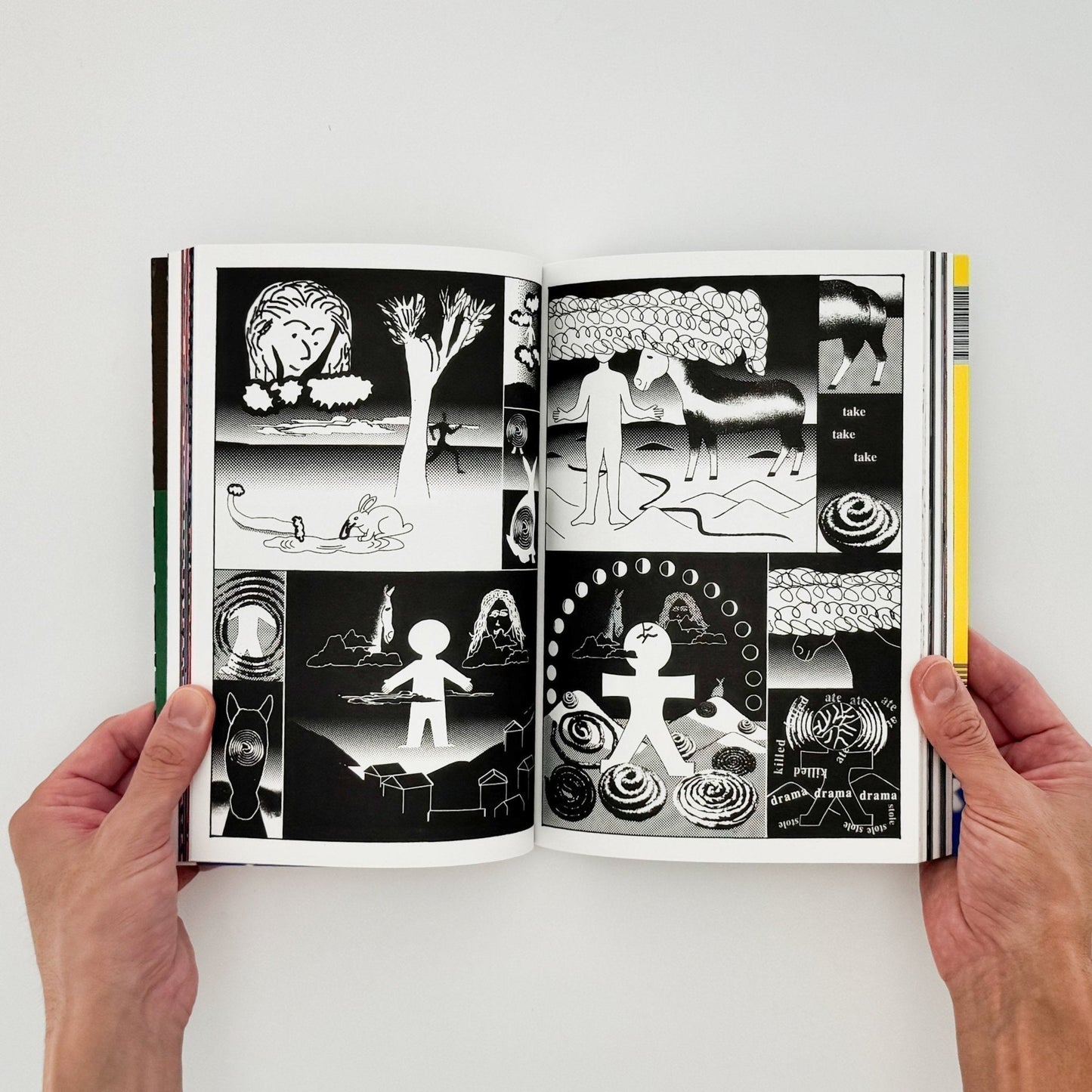 (仏文）クリス・ハーナン　Chris Harnan: Big Pool - Fidèle éditions - 文福