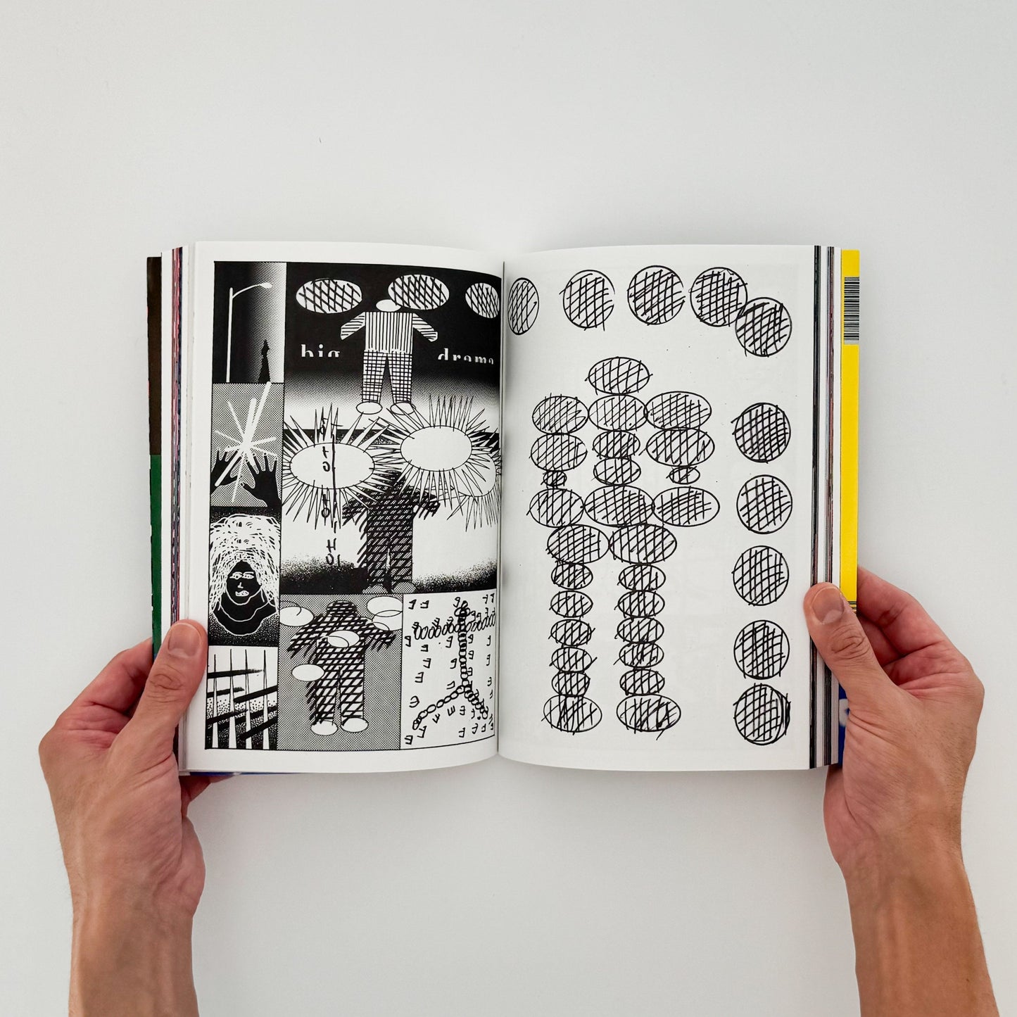 (仏文）クリス・ハーナン　Chris Harnan: Big Pool - ILLUSTRATION