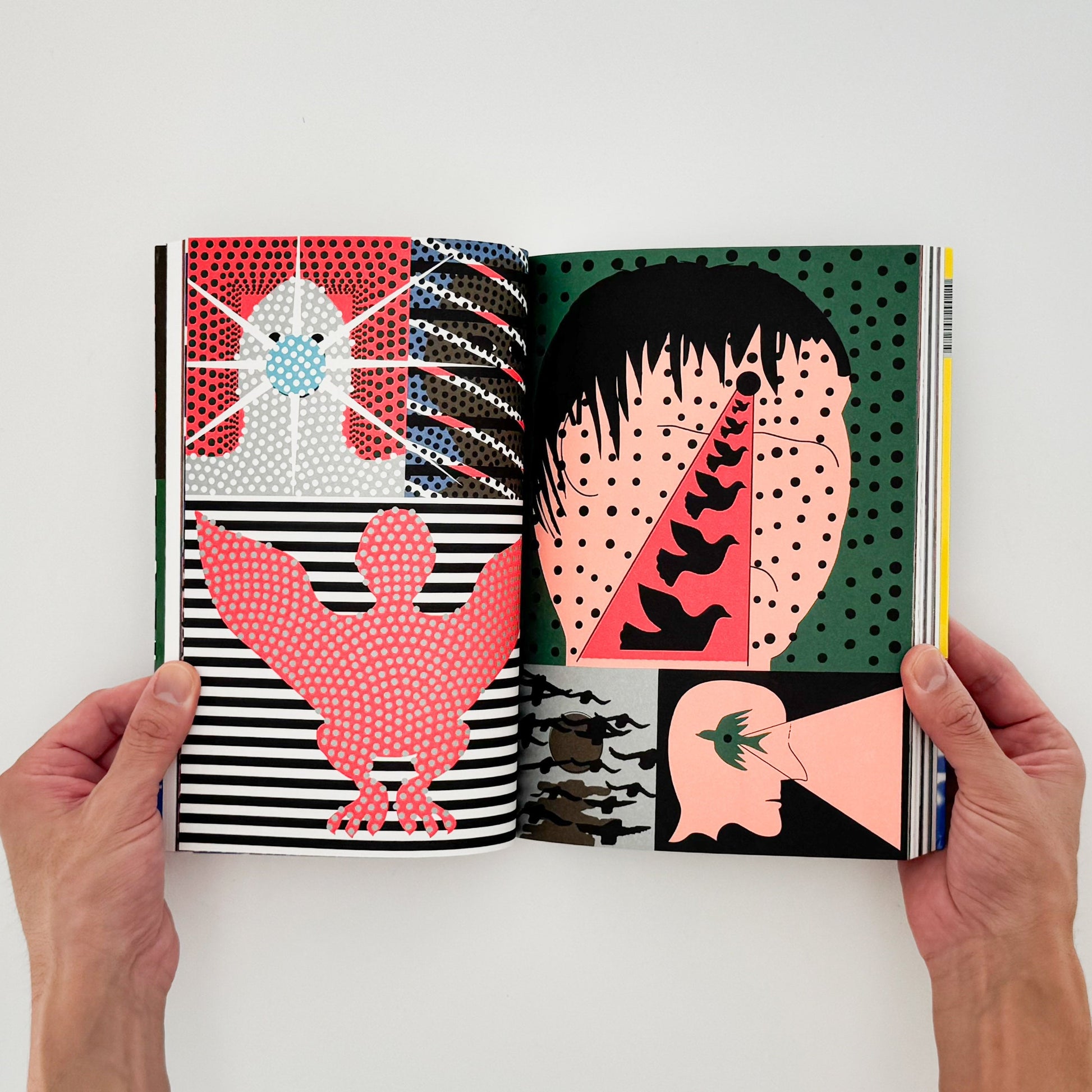 (仏文）クリス・ハーナン　Chris Harnan: Big Pool - ILLUSTRATION