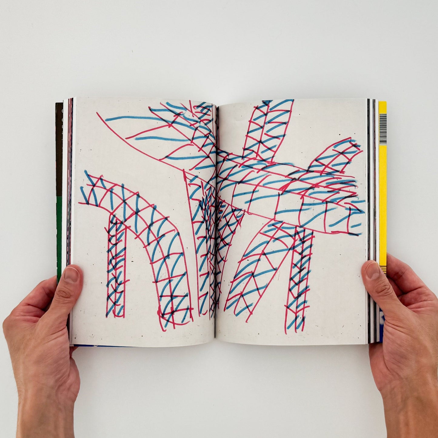 (仏文）クリス・ハーナン　Chris Harnan: Big Pool - ILLUSTRATION