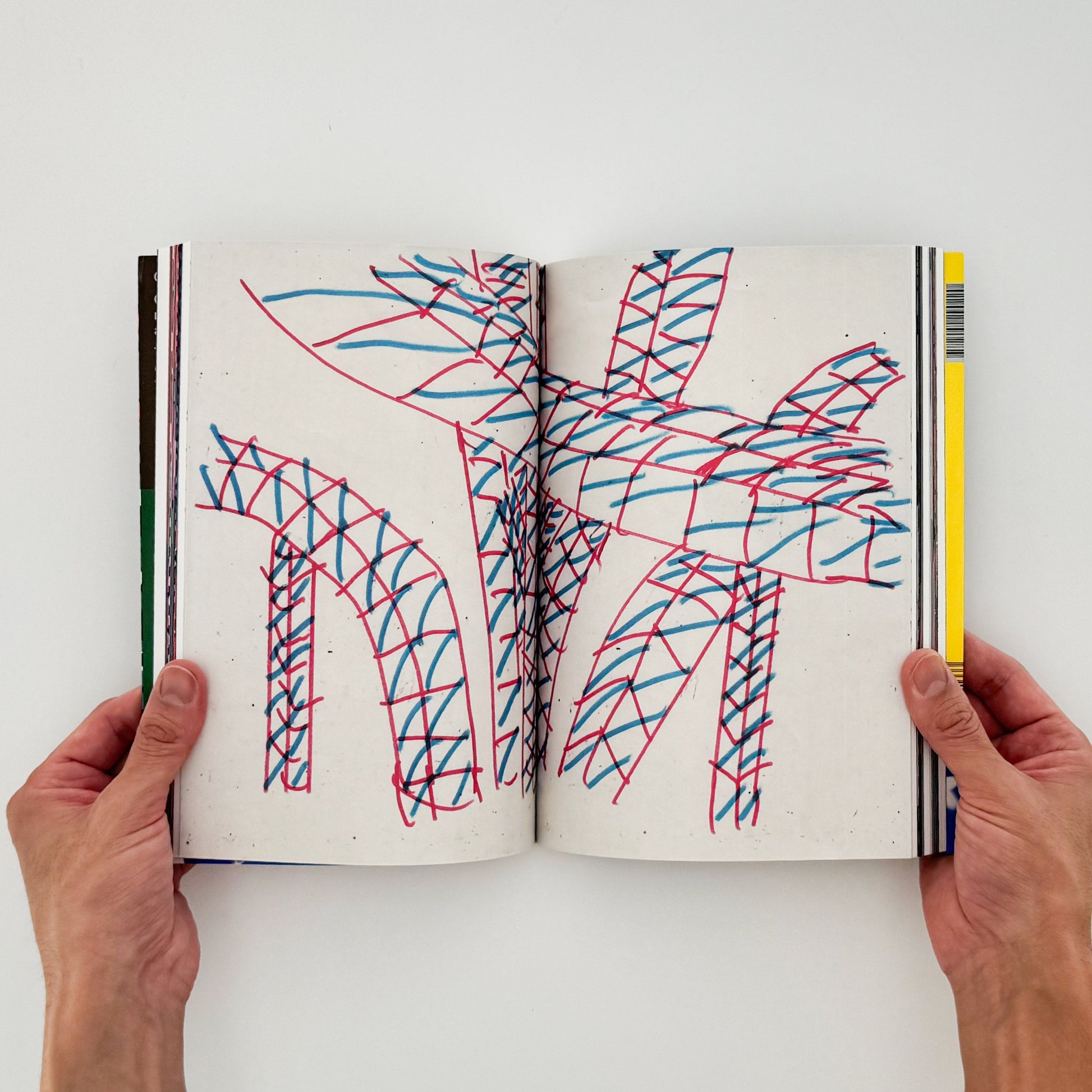 (仏文）クリス・ハーナン　Chris Harnan: Big Pool - ILLUSTRATION