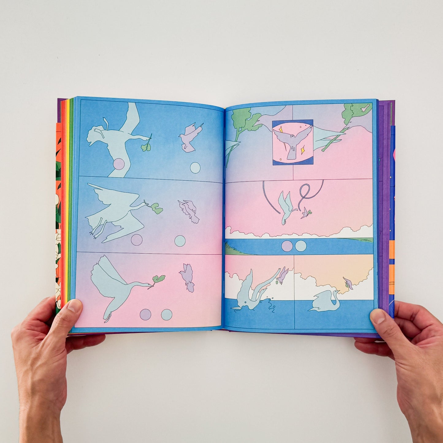 マリア・メデム María Medem: RAINBOW - ILLUSTRATION