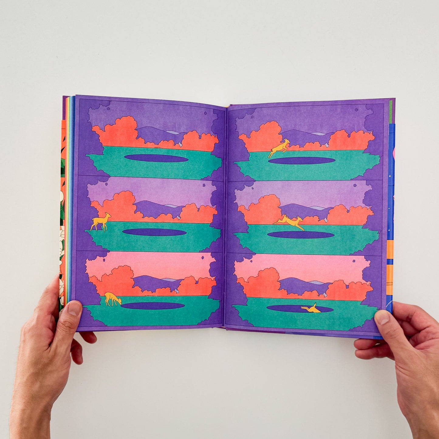 マリア・メデム María Medem: RAINBOW - ILLUSTRATION