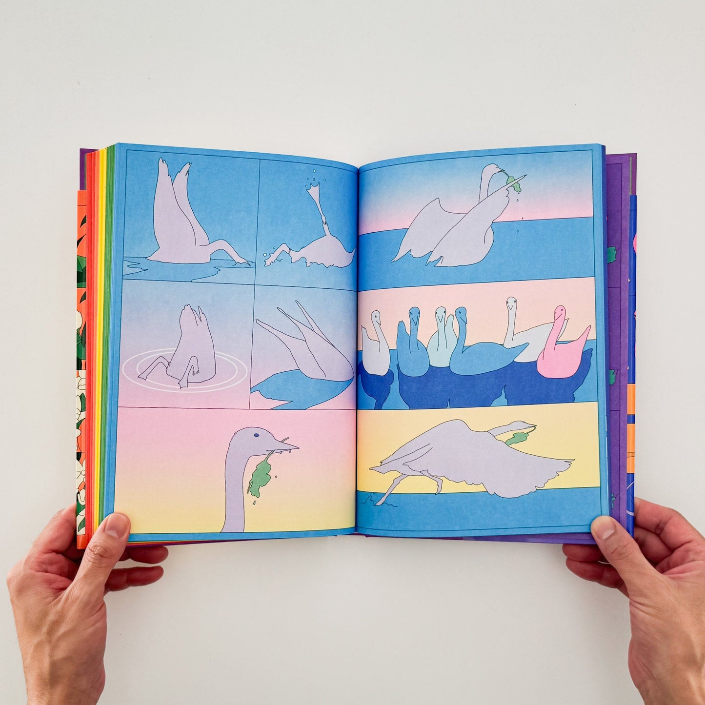 マリア・メデム María Medem: RAINBOW - ILLUSTRATION