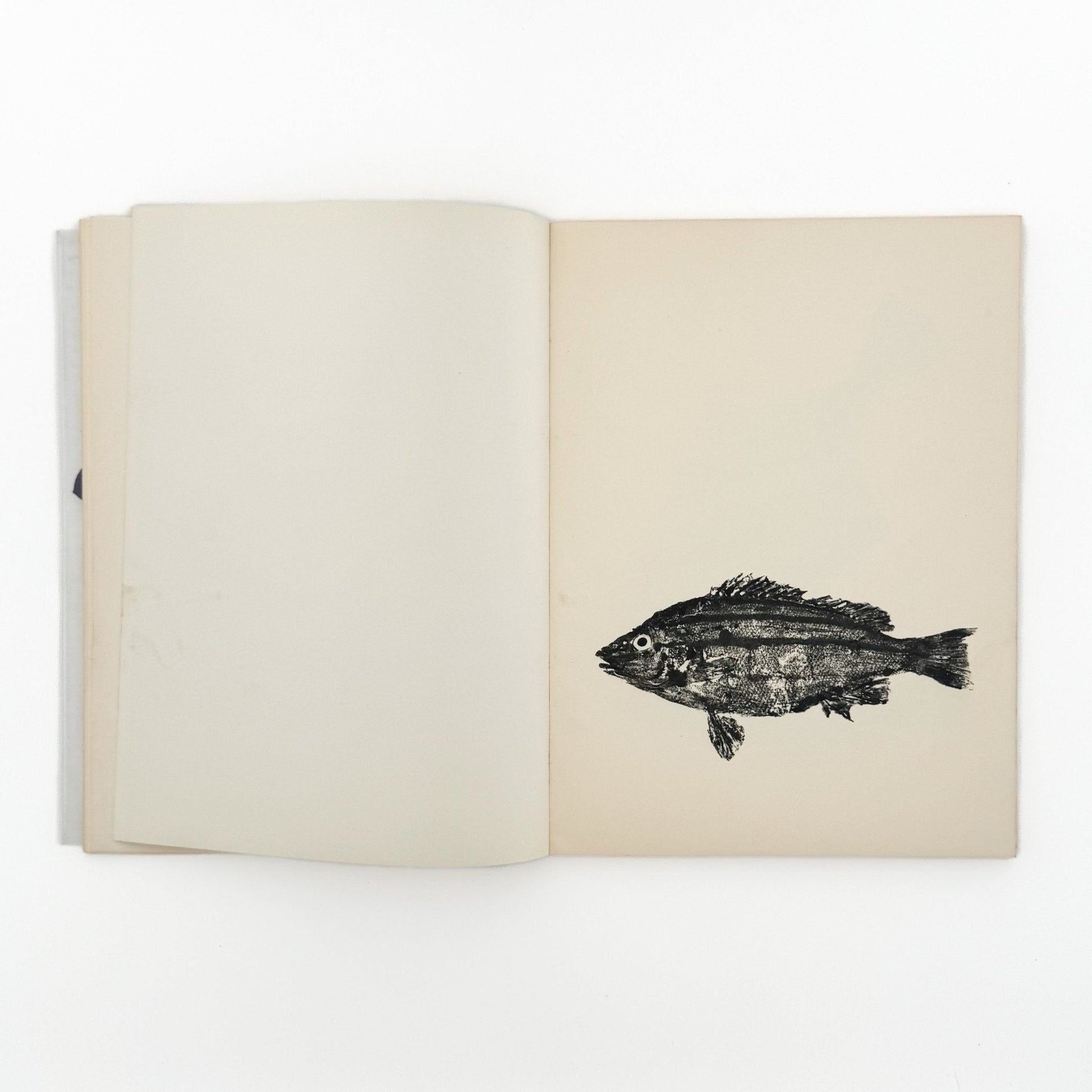 永田一脩　魚拓 - 文福