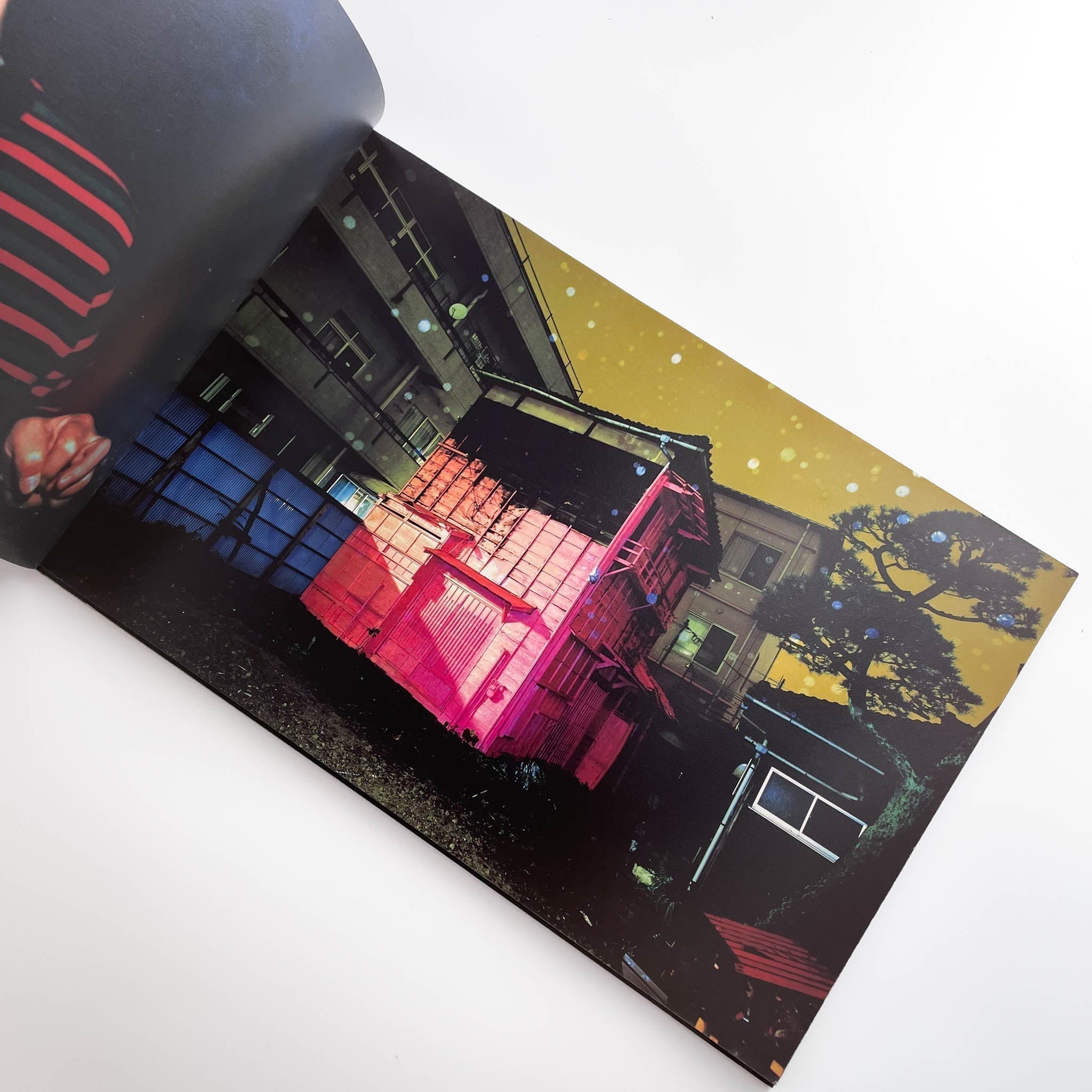 志賀理江子写真集 カナリア Lieko Shiga: Canary – 文福