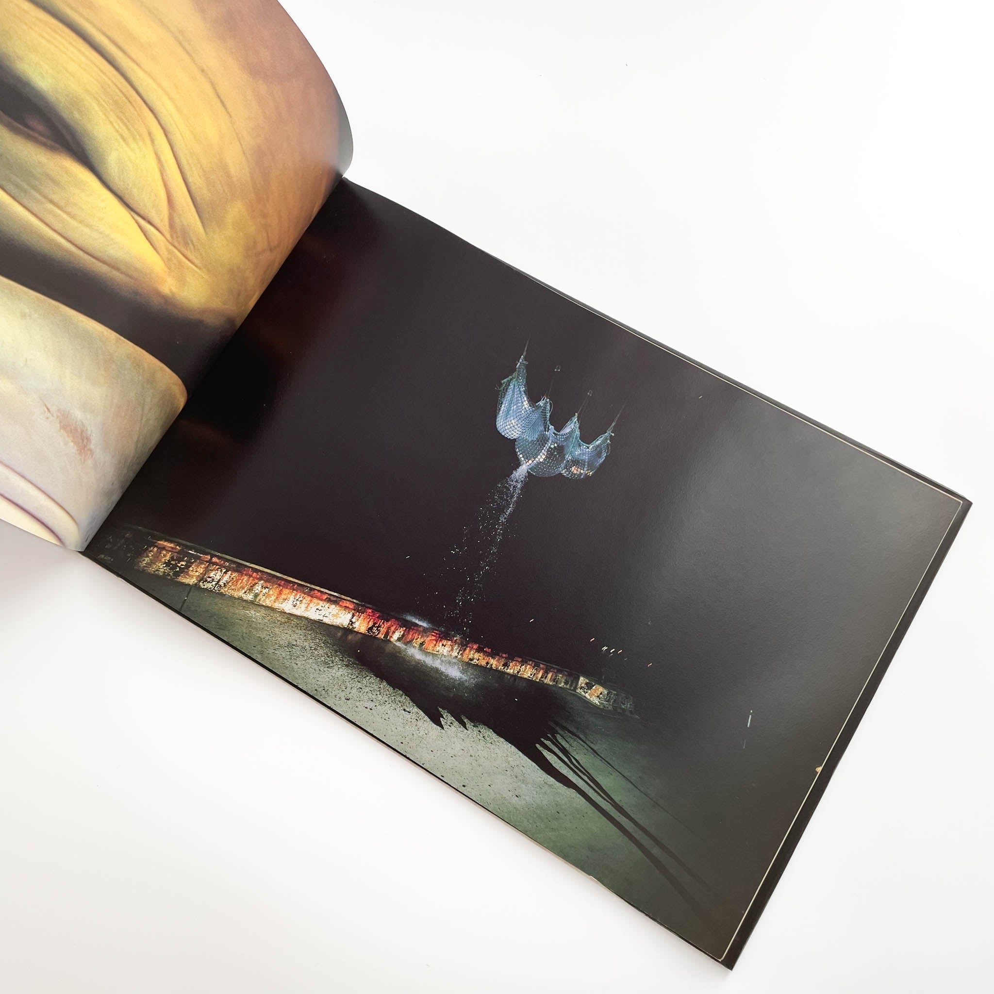 志賀理江子写真集 カナリア Lieko Shiga: Canary – 文福