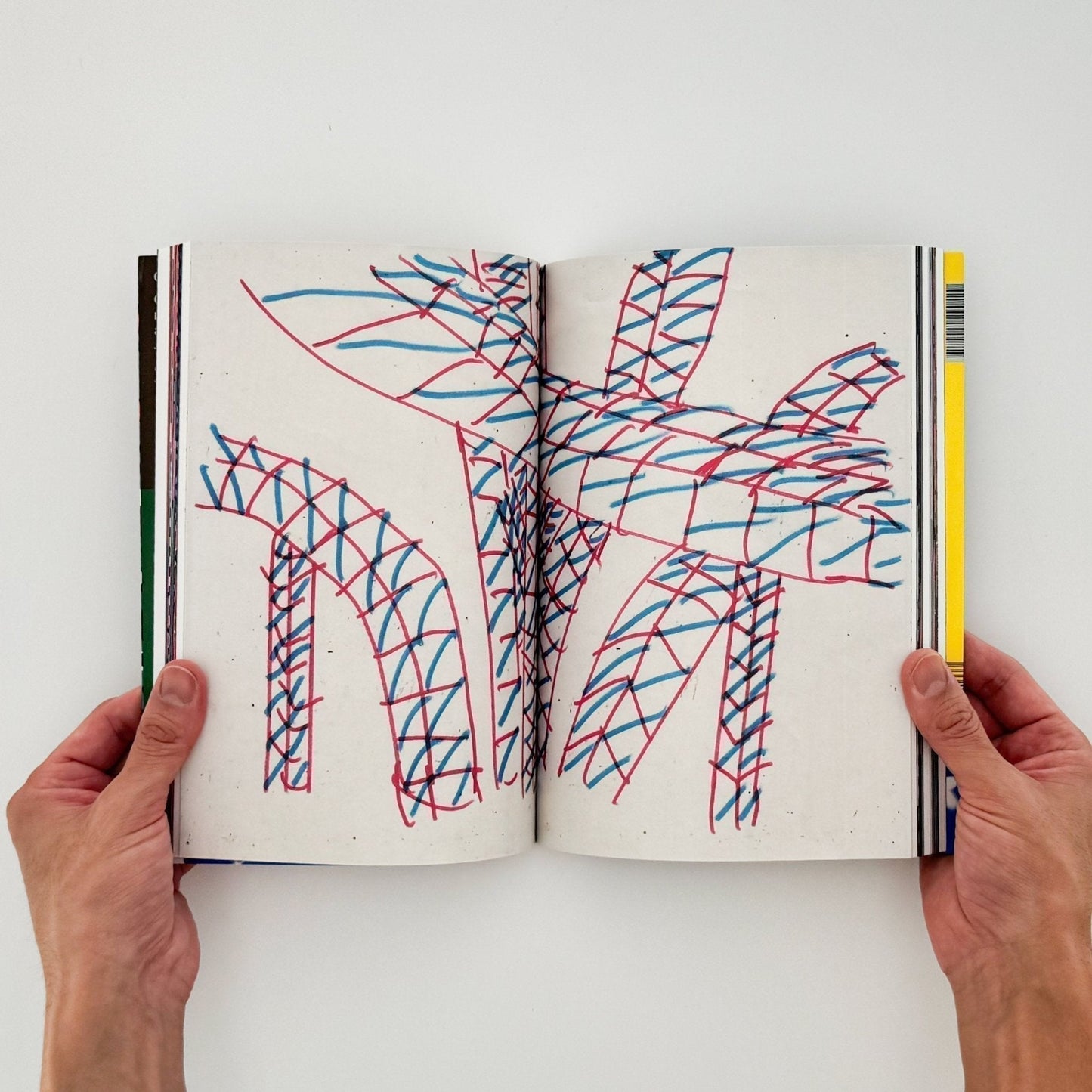 (仏文）クリス・ハーナン　Chris Harnan: Big Pool - Fidèle éditions - 文福