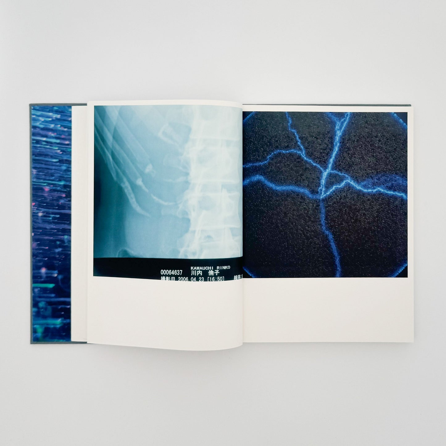 川内倫子　IIlluminance フォイル