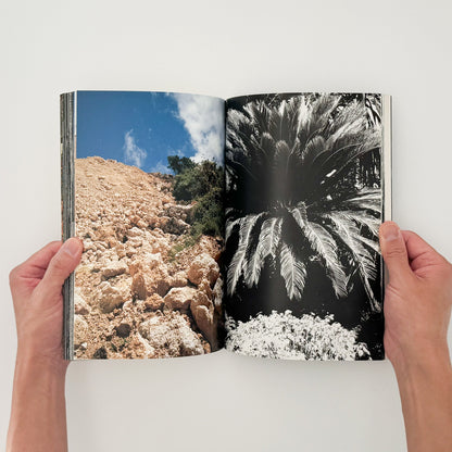 中平卓馬　原点復帰ー横浜　Degree Zero-YOKOHAMA - 写真集