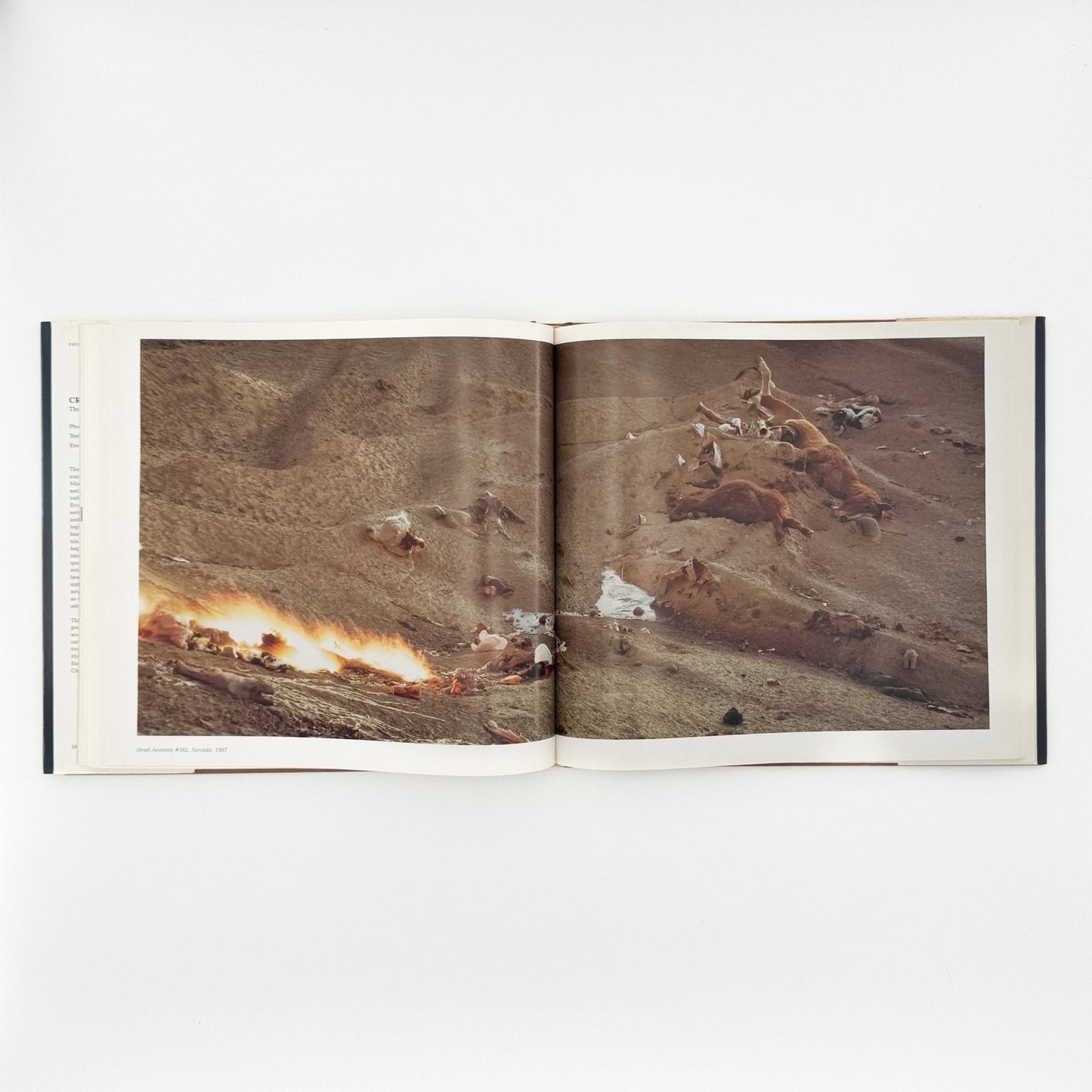 (英文)リチャード・ミズラック　Crimes and Splendors - Bulfinch - 文福