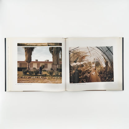 (英文)リチャード・ミズラック　Crimes and Splendors - Bulfinch - 文福